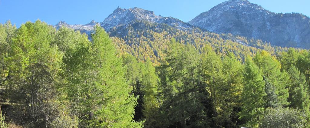 Haus Waldheim Grachen Daire Dış mekan fotoğraf