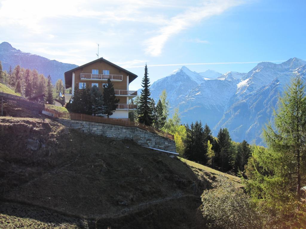 Haus Waldheim Grachen Daire Dış mekan fotoğraf